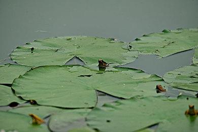 不用等太久 《GTA6》或将在2025年4月前发售